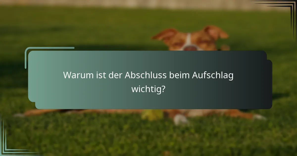 Warum ist der Abschluss beim Aufschlag wichtig?