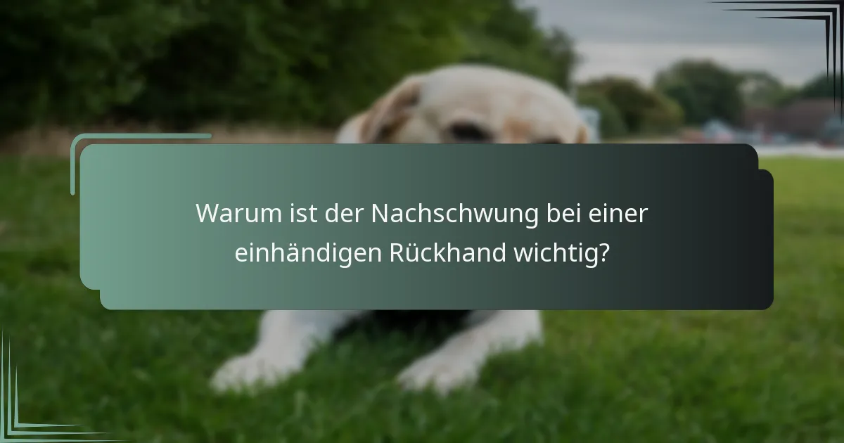 Warum ist der Nachschwung bei einer einhändigen Rückhand wichtig?
