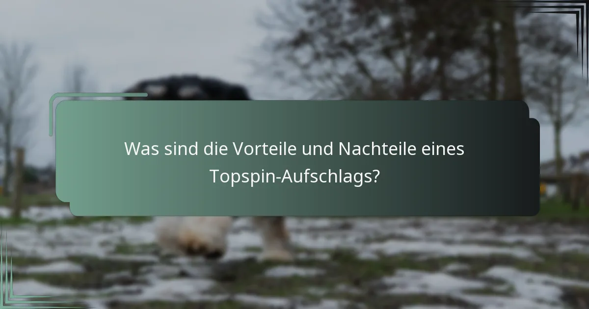 Was sind die Vorteile und Nachteile eines Topspin-Aufschlags?