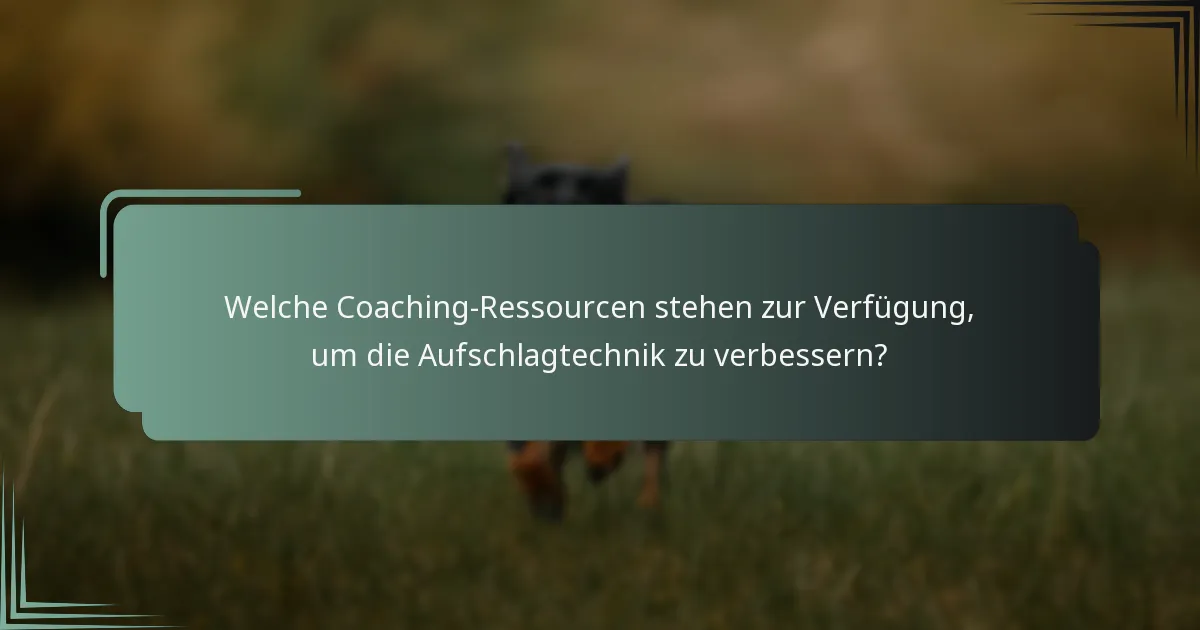 Welche Coaching-Ressourcen stehen zur Verfügung, um die Aufschlagtechnik zu verbessern?