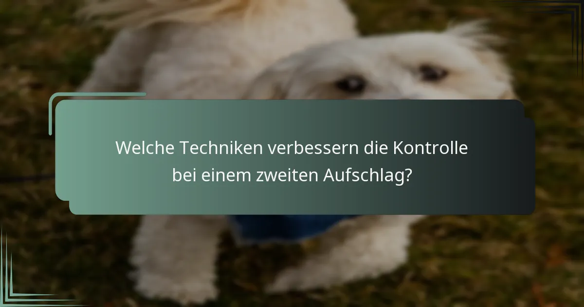 Welche Techniken verbessern die Kontrolle bei einem zweiten Aufschlag?
