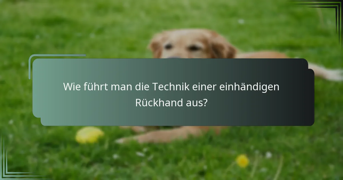 Wie führt man die Technik einer einhändigen Rückhand aus?