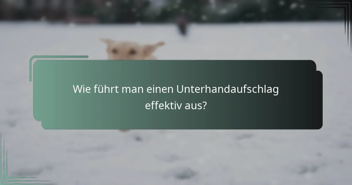 Wie führt man einen Unterhandaufschlag effektiv aus?